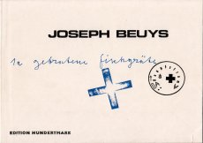 Beuys-Fischgraete