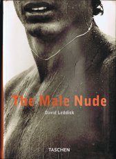 leddick-the-male-nude