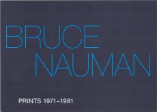 stampa-naumann-2013