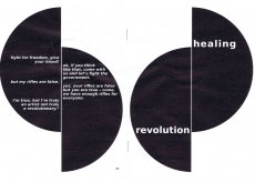 zabel-revolution-healing